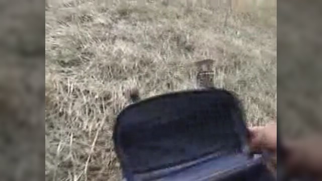 ���������� ���������� �������� ���� 
